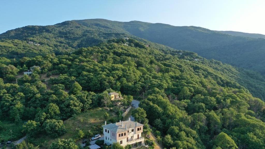 Stilvi Hotel Tsagarada Bagian luar foto
