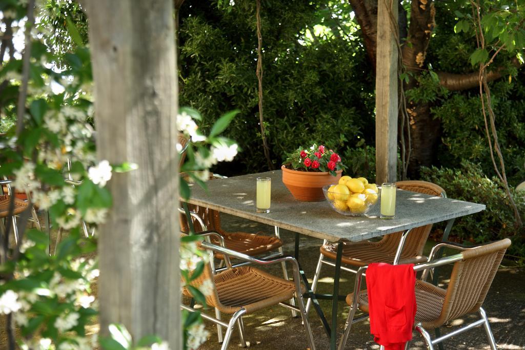 Stilvi Hotel Tsagarada Bagian luar foto
