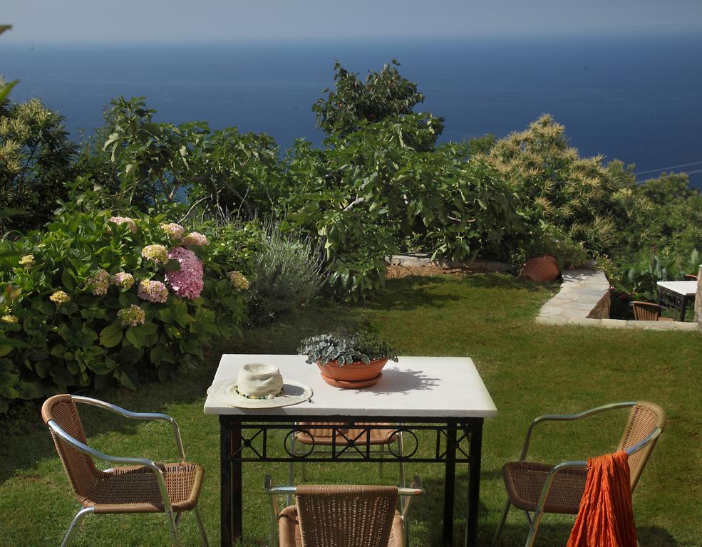 Stilvi Hotel Tsagarada Bagian luar foto